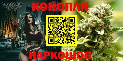 прущие грибы Тара