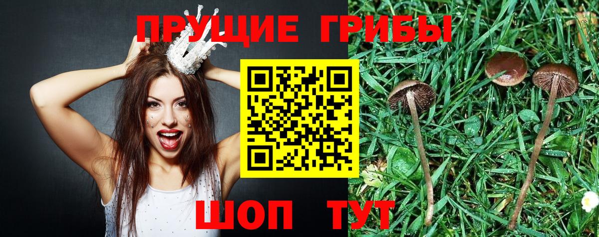 Галлюциногенные грибы MAGIC MUSHROOMS Павлово