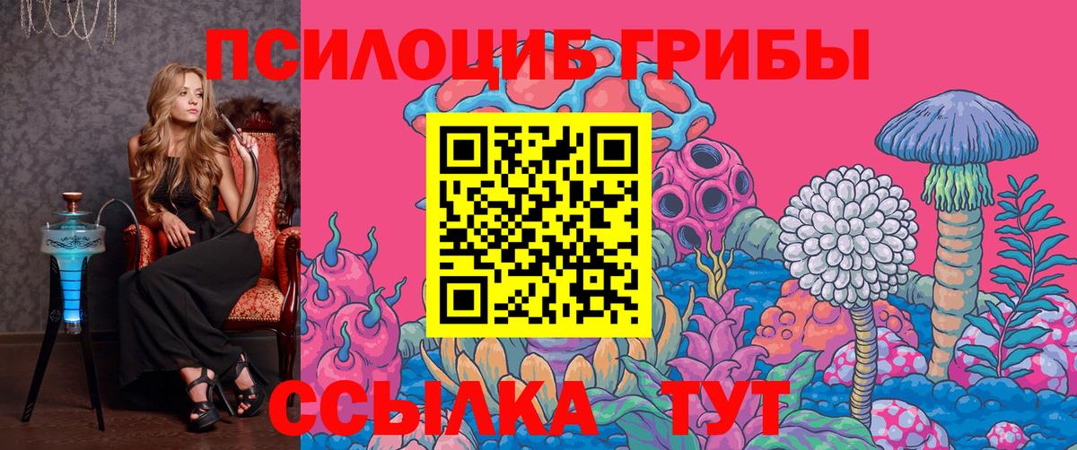 Павлово  Псилоцибиновые грибы мицелий  Вход с VPN  Галлюциногенные грибы Psilocybine cubensis 